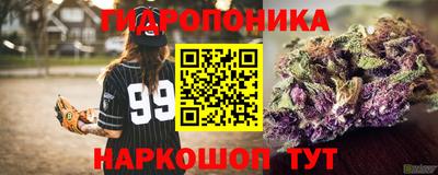 гидра Краснодар