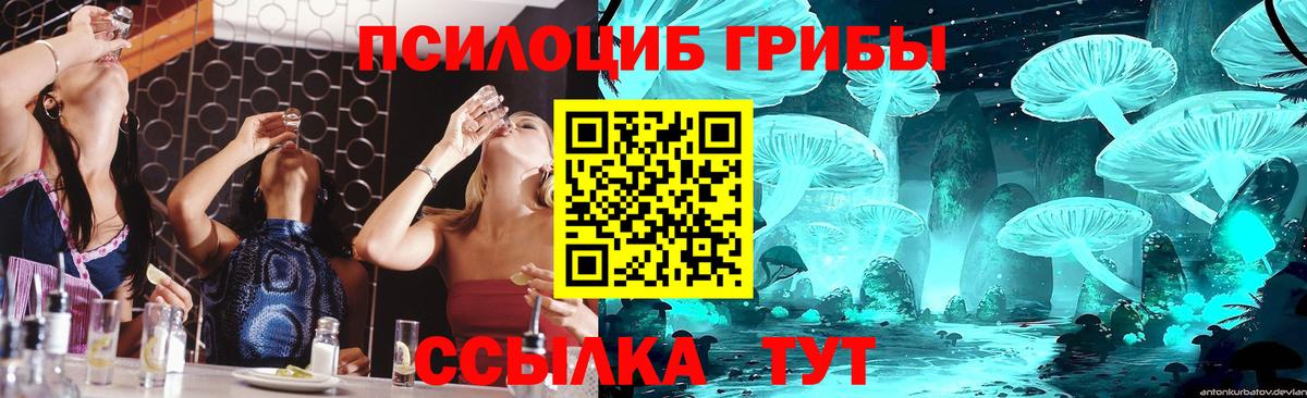Псилоцибиновые грибы Magic Shrooms  Вход с VPN  Энгельс 