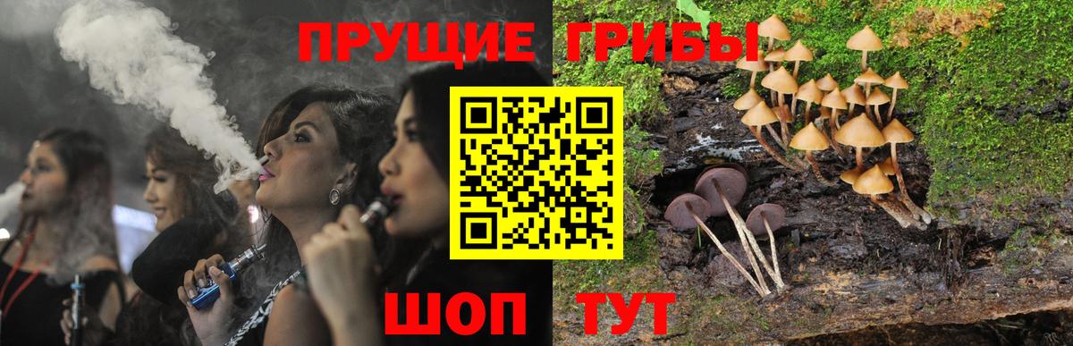 Псилоцибиновые грибы Cubensis Энгельс